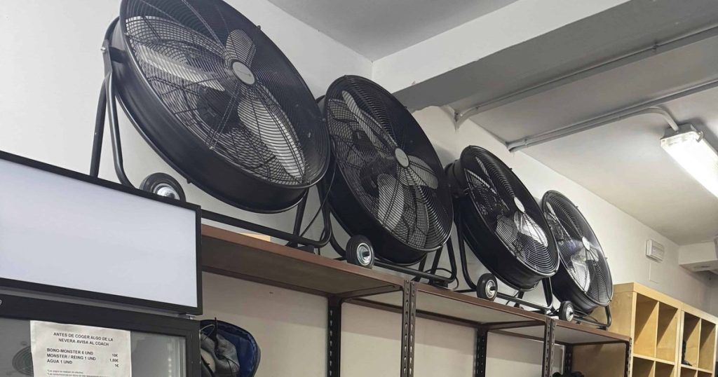 Ventiladores y estantería en un box climatizado de Madrid